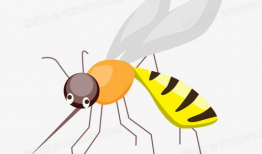 蚊子漫画,幽默揭示夏日烦扰